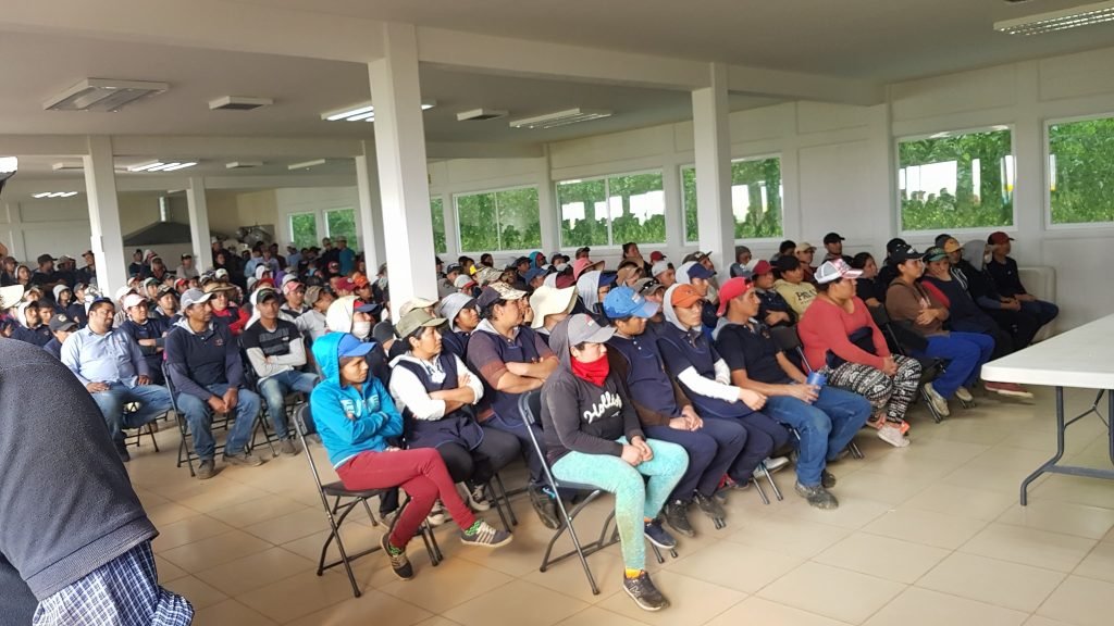 Galería – COCENA
