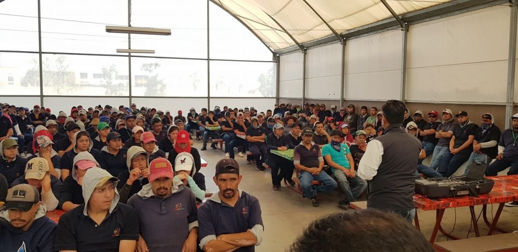 Galería – COCENA